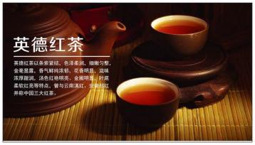 “英红九号”金装红茶获特等金奖|红茶新闻