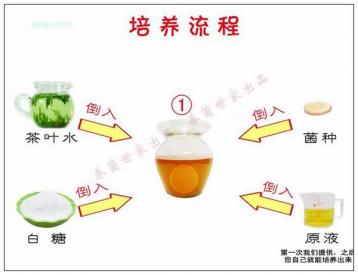 红茶菌饮料主要营养成分及饮用方法