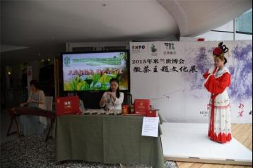 徽茶亮相2015年米兰世博会|绿茶新闻