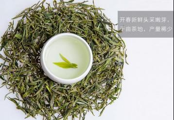 黄山毛峰茶叶图片展示|绿茶图片素材