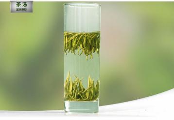 中国茶叶版图的黄茶商业价值|黄茶文化