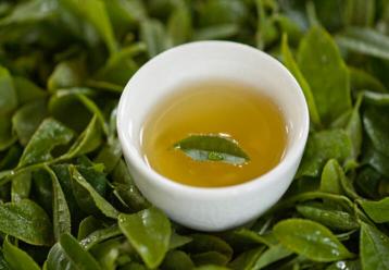 怎样区分黄茶和绿茶？|黄茶基本知识