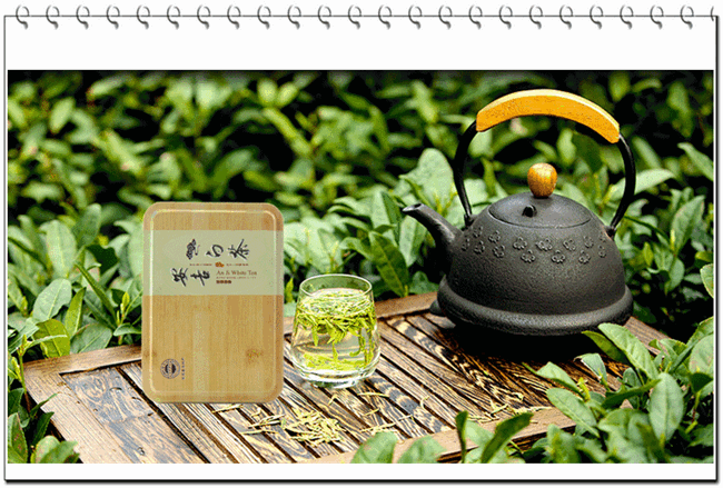 安吉白茶的保鲜和保存方法与品质变化的条件